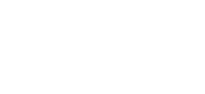 The Payroll Diva Logo